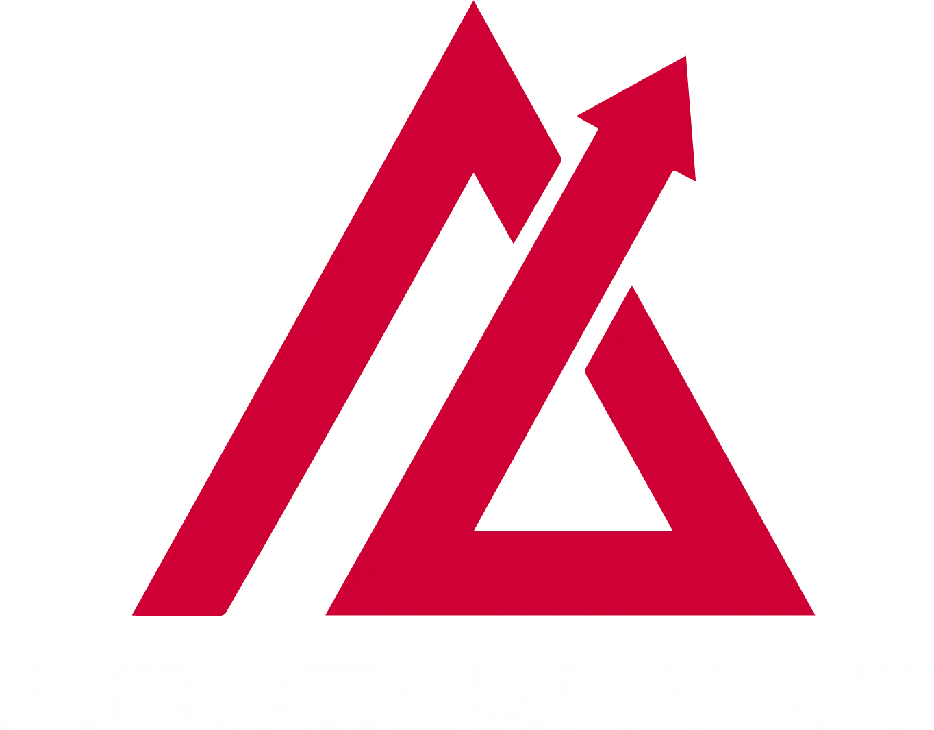 Accelerynt