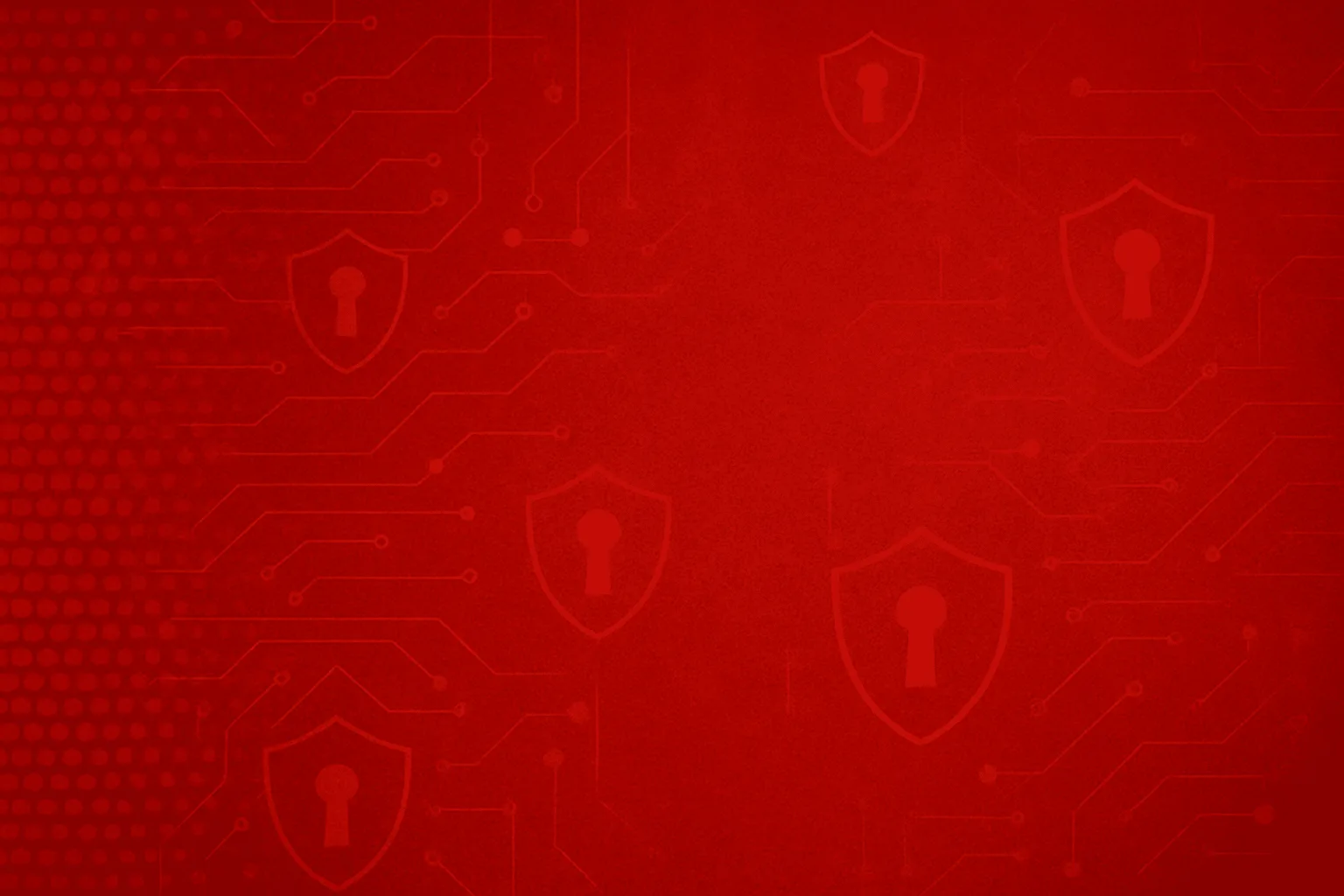 The System Looked Ready.